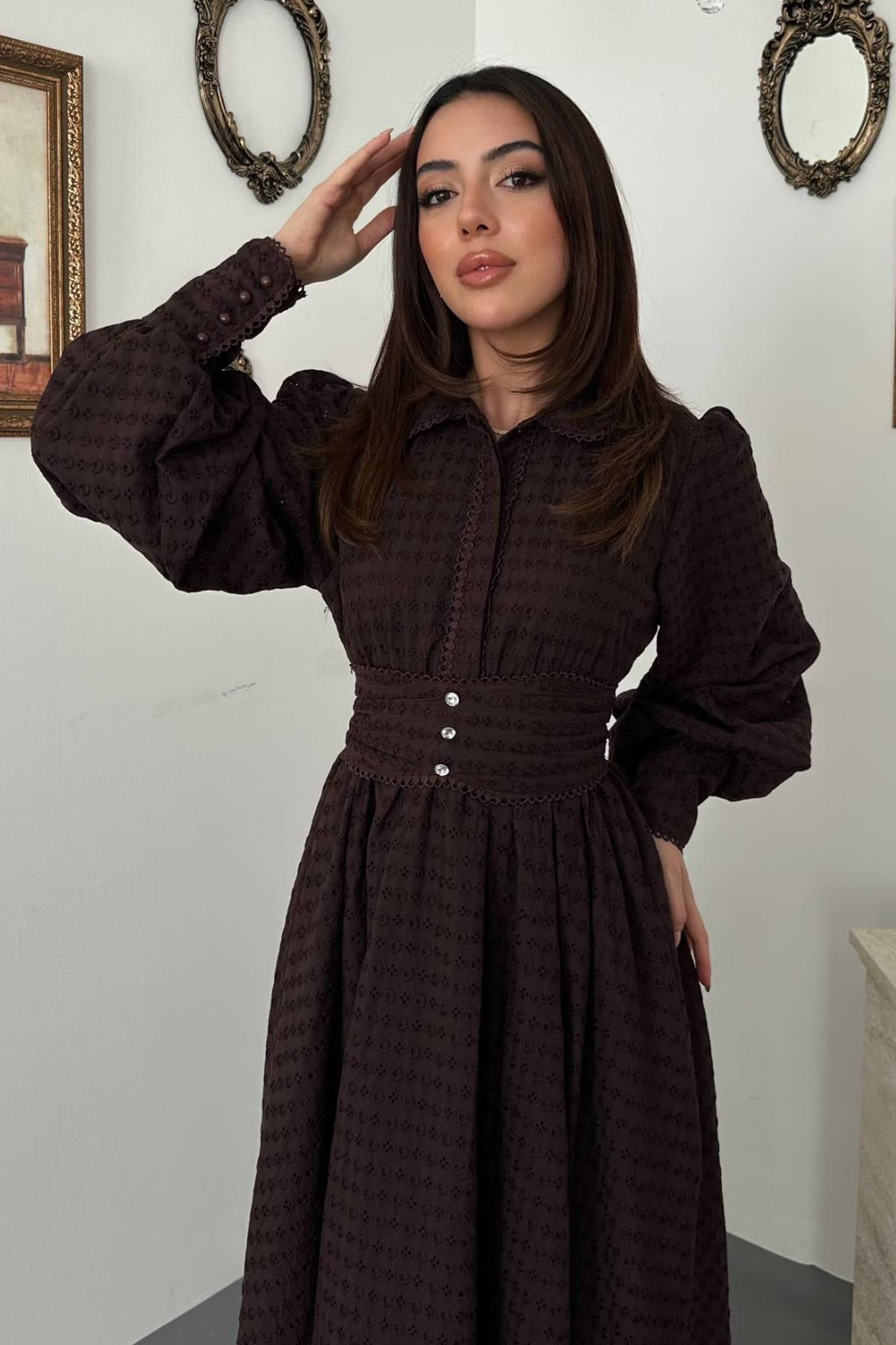 Elegant Brown A-Line Midi Dress With Balloon Sleeves